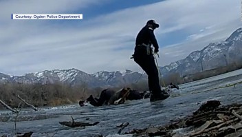 Policías caen en un estanque congelado en pleno rescate