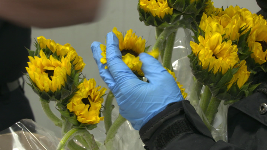 Why is US Customs checking millions of flowers?