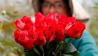 Flores de Colombia para el mundo en San Valentín