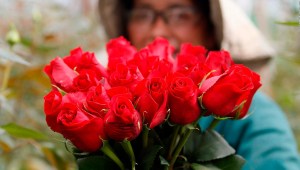 Flores de Colombia para el mundo en San Valentín