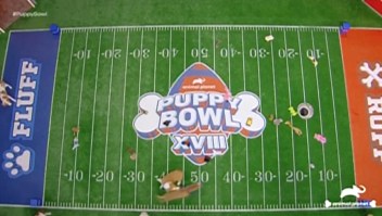Puppy Bowl 2022 tiene nuevo ganador
