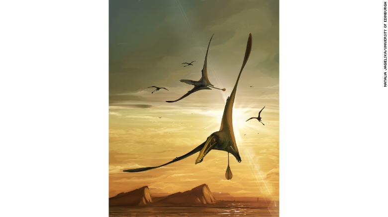 pterosaurio Escocia