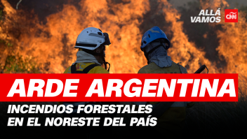 Arde el noreste de Argentina: así son los impactantes incendios forestales