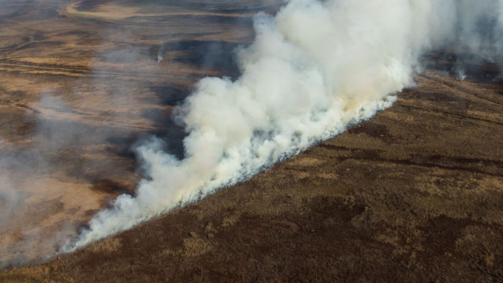 La devastación provocada por los incendios forestales en el norte argentino