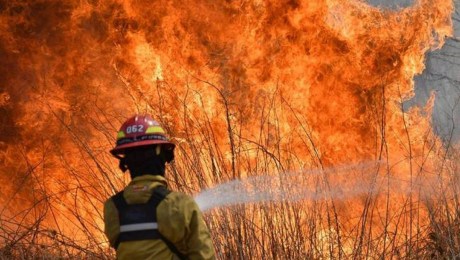 Incendios y sequía en Corrientes: “Se perdieron más de 250 mil toneladas de  arroz” | CNN