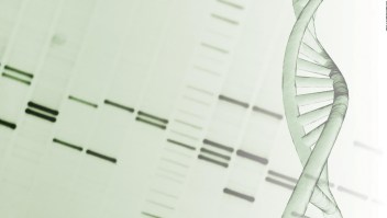 Logran secuenciar por primera vez genoma humano completo
