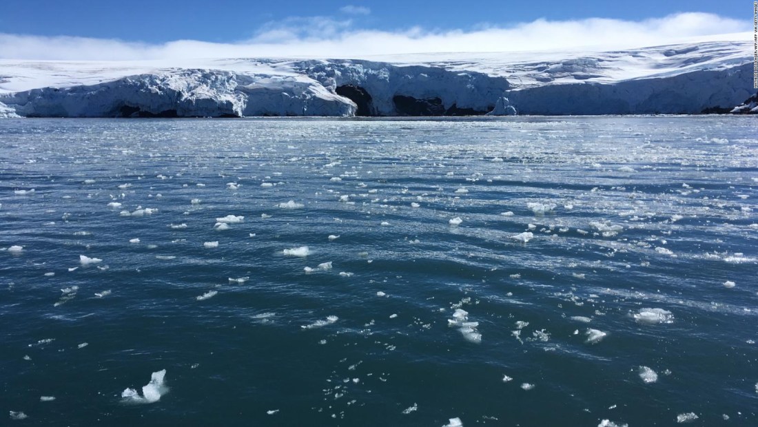 Así ayudan las focas a descifrar la Antártida