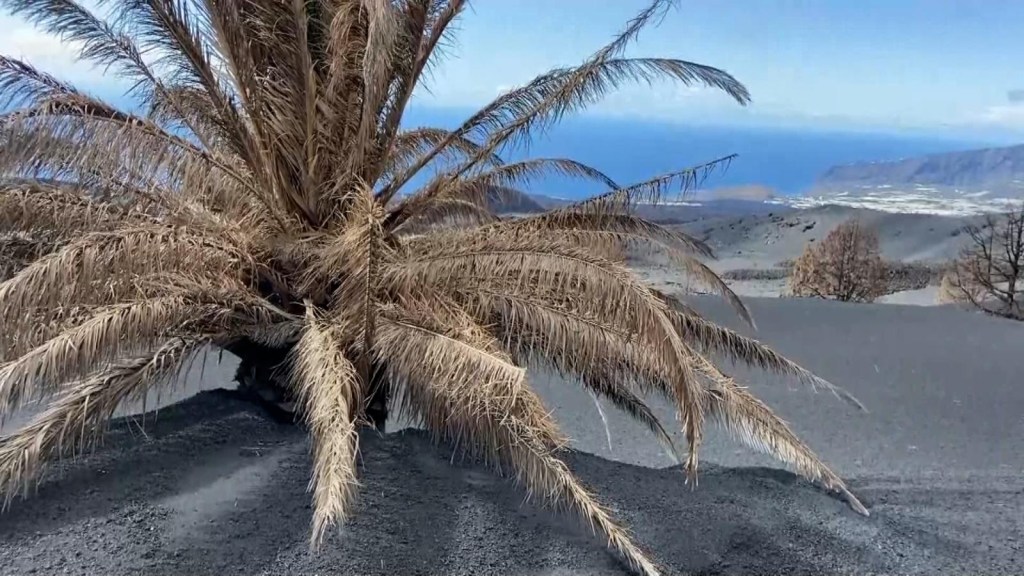 Spójrz na stosy prochów na La Palma
