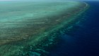 Mira cómo la Gran Barrera de Arrecifes pierde su color