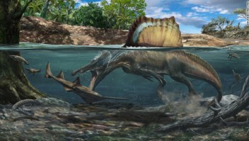 dinosaurio nadador espinosaurio
