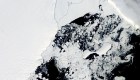 Colapsa plataforma de hielo en la Antártida por temperaturas