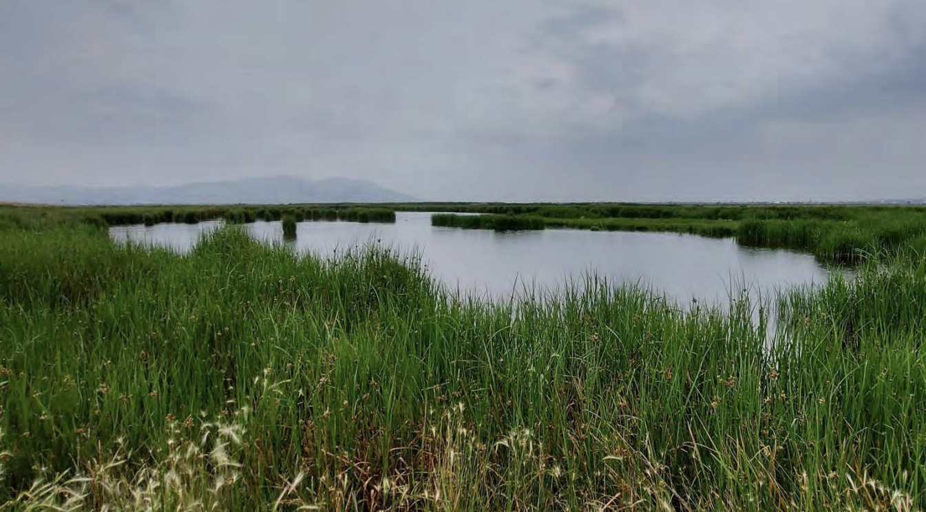 México Declara Al Lago De Texcoco área Natural Protegida En El Día Mundial Del Agua 6789