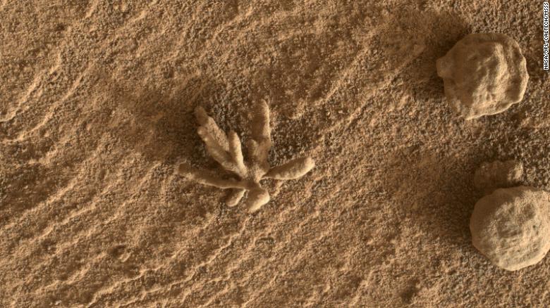 Lo más cerca de una "flor" en Marte