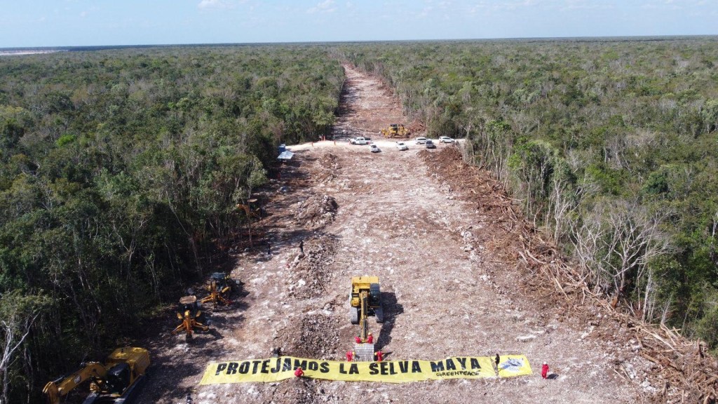 Greenpeace advierte de los daños irreparables que causa el tren maya