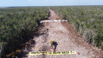 Greenpeace advierte daño irreparable por Tren Maya