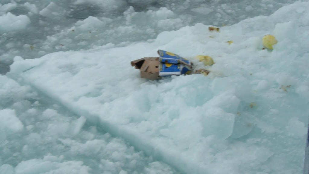The sad reality of the Arctic due to plastic waste