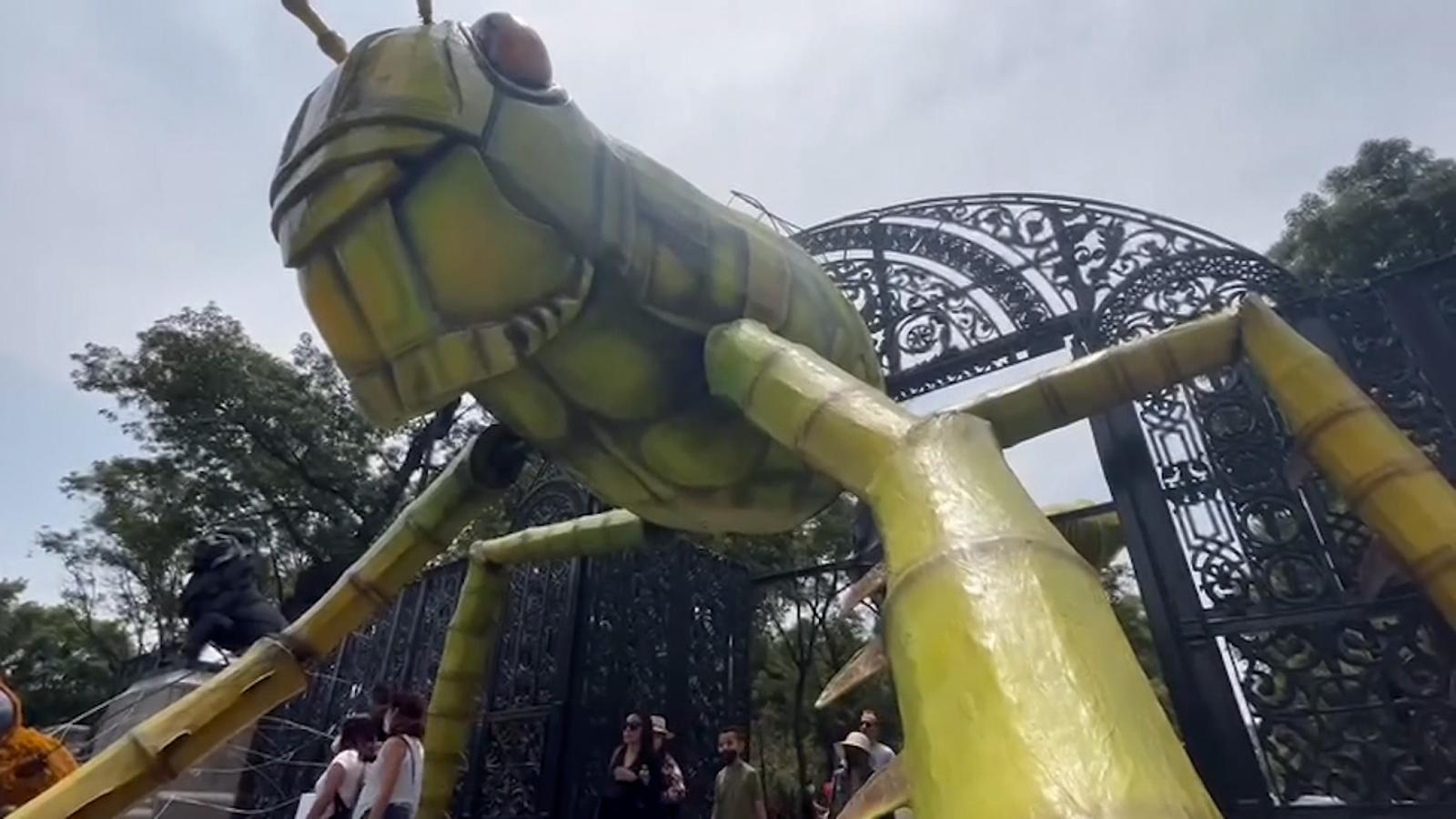 Todo lo que necesitas saber sobre Insecta: Festival del Bosque