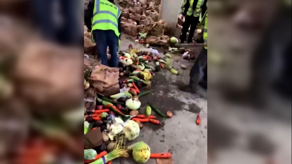 This is how they dispose of the vegetables donated to the confined in Shanghai
