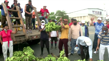 El banano, una importación clave de Ecuador, sufre la guerra en Ucrania