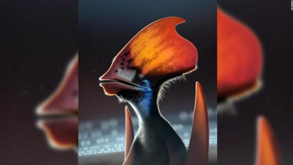 Estudio revela que los pterosaurios tenían plumaje multicolor