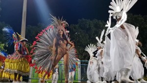 RIO DE JANEIRO - 10 De Febrero: Una Mujer En El Baile De Disfraces De  Carnaval En El Sambódromo De Río De Janeiro 10 De Febrero 2013, En Brasil.  El Carnaval De