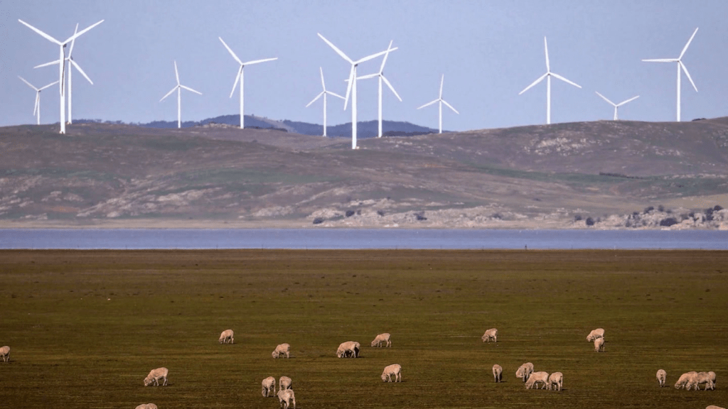 Could wind energy be a vital source of electricity in the US?