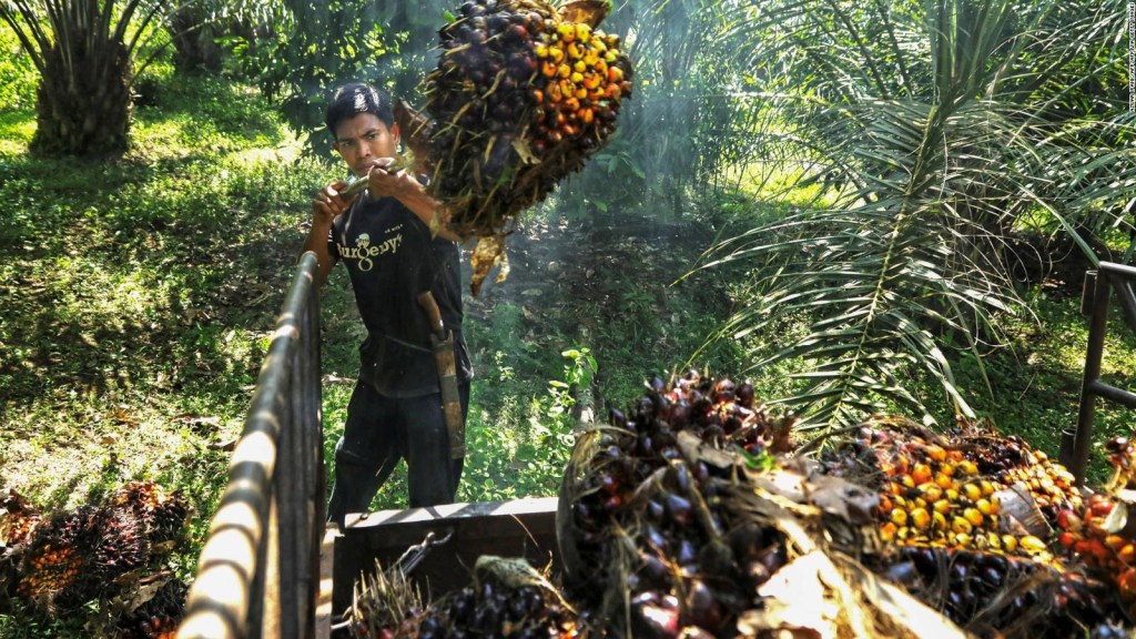 Aumento de los precios de los alimentos debido al aceite de palma