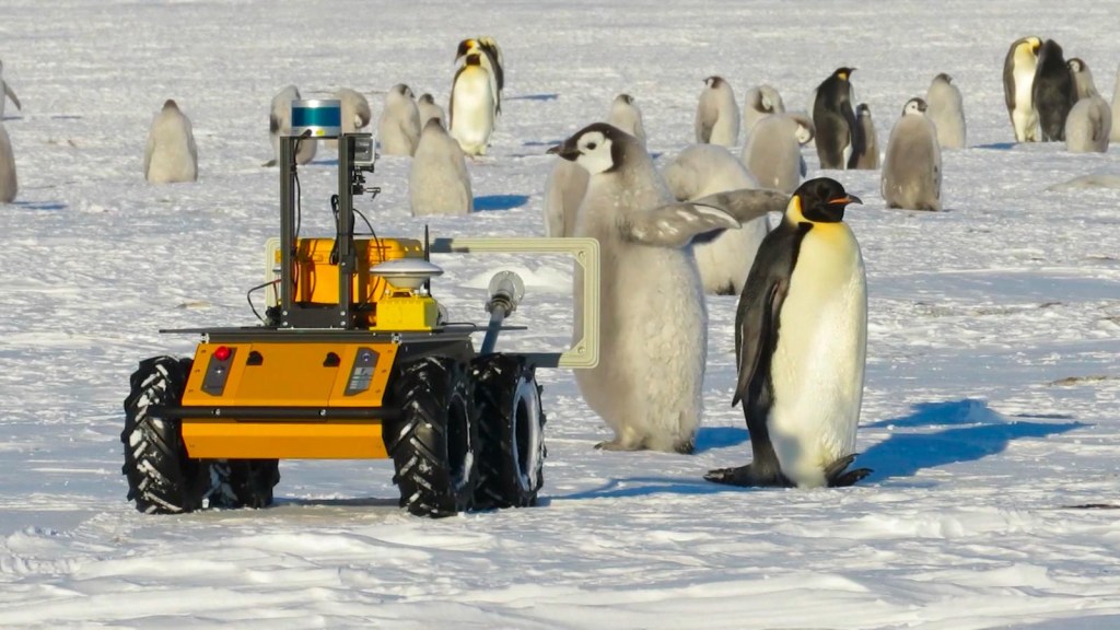 Look at the little robot that spies on penguins in Antarctica