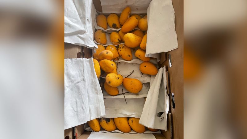 We are bound in Shanghai with 11 kilos of mangoes and very supportive neighbors (Opinion)