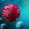 Las nuevas subvariantes del coronavirus: XD, XE y XF