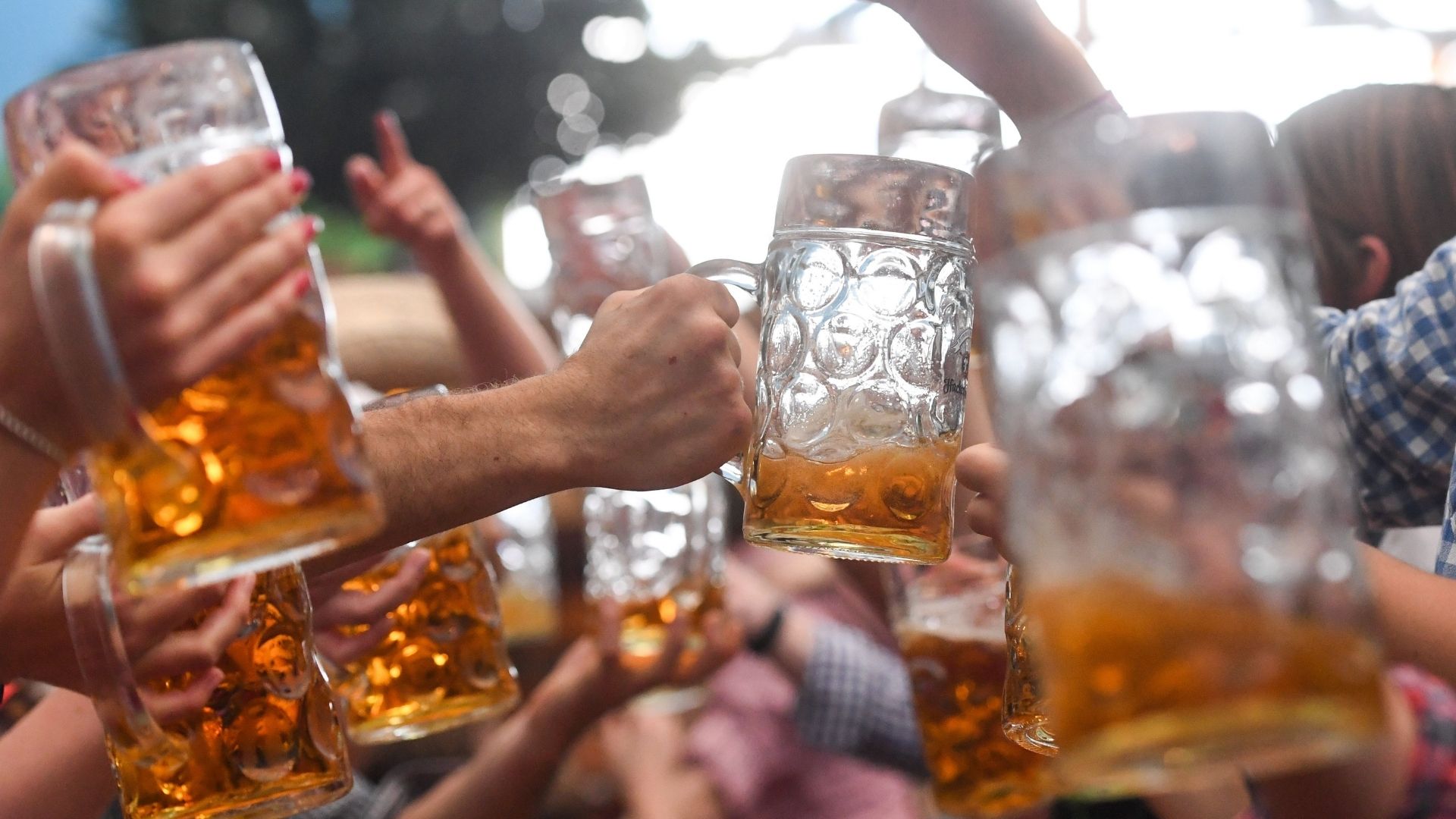 Adiós, cerveza? 7 cambios en tu cuerpo cuando dejas de tomar alcohol – El  Financiero