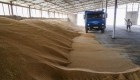¿Cómo sacar de Ucrania toneladas de granos de cereal?