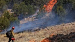 Los incendios forestales tienen otra víctima: el agua