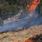 Los incendios forestales tienen otra víctima: el agua