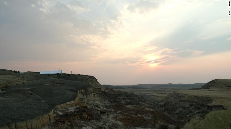 El lecho fósil de Tanis en Dakota del Norte habría sido un bosque pantanoso hace 66 millones de años.