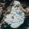 Así empeora la salud de la Gran Barrera de Coral