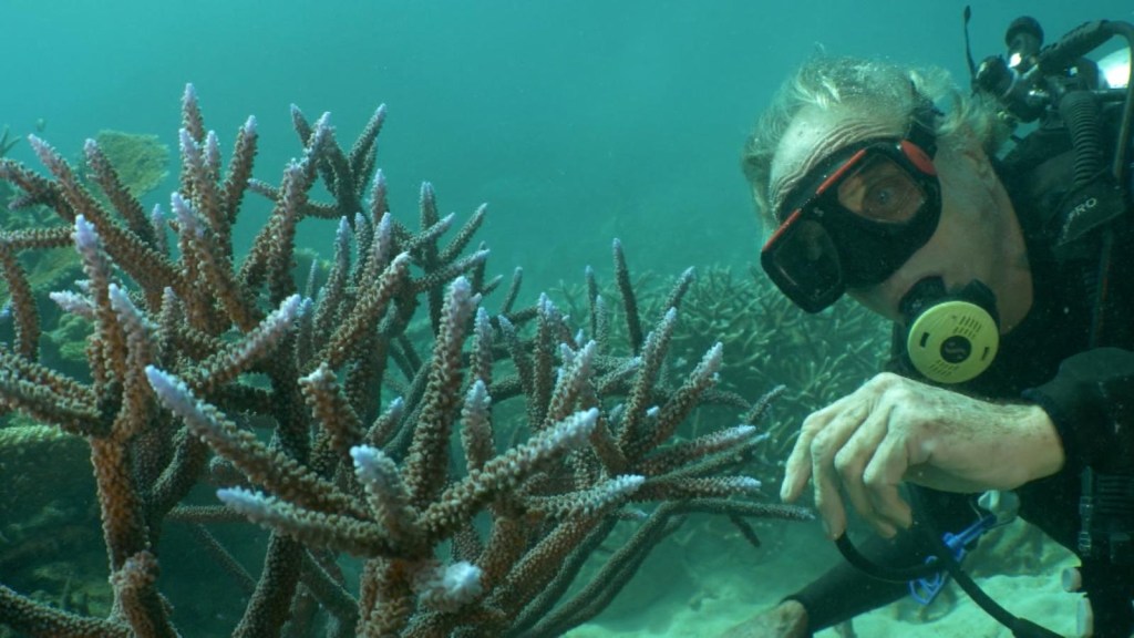 This is the biggest threat to Australia's Great Barrier Reef