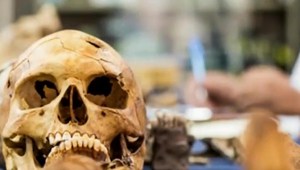 Confunden altar de cráneos prehispánicos con narcofosa
