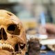 Confunden altar de cráneos prehispánicos con narcofosa