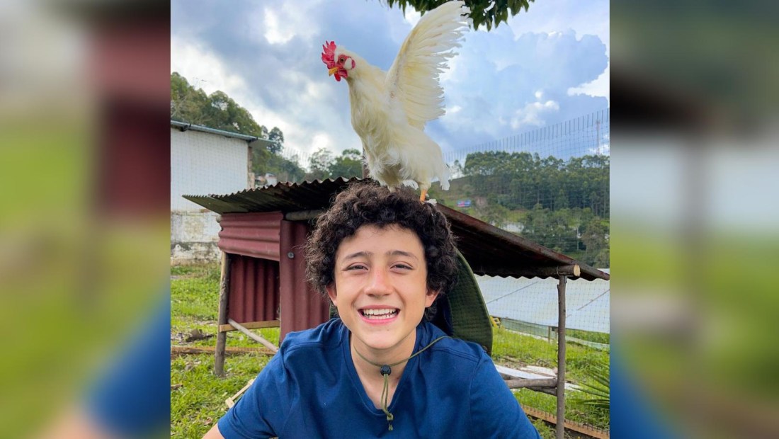 Joven se muda al campo y ahora es experto en gallinas