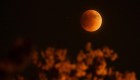 Mira el esplendor del eclipse de la superluna de sangre