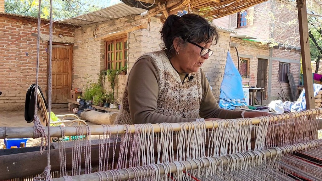 El tejido ancestral de las indígenas en Argentina: sostén económico y lucha social