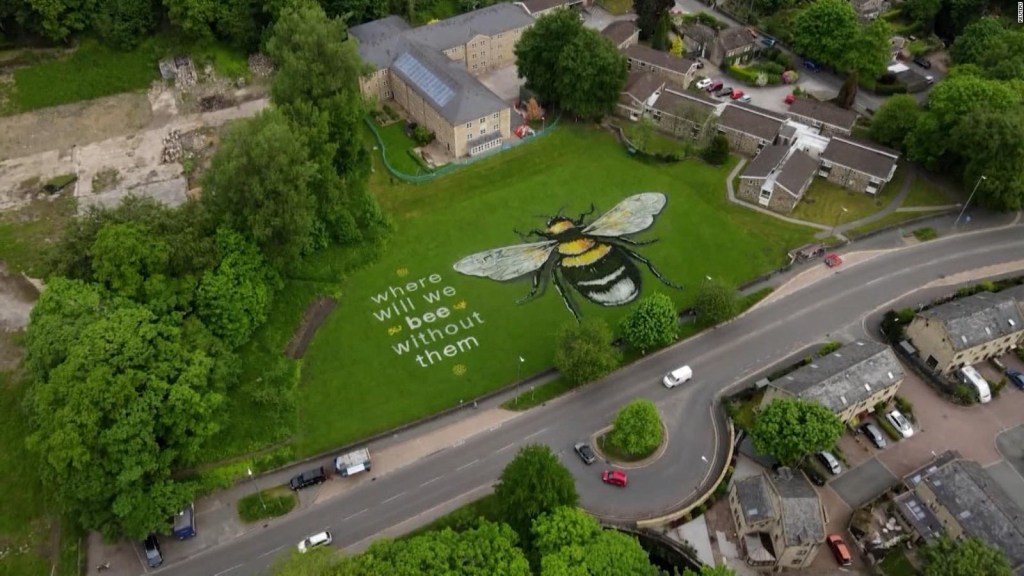 Look at this giant bee painted on the grass