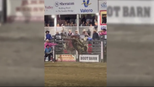 Un toro salta una valla y asusta al público