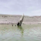 Mira cómo un barco hundido emerge del lago Mead