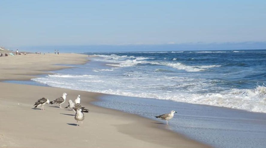 Conoce las 10 mejores playas de EE.UU. en 2022