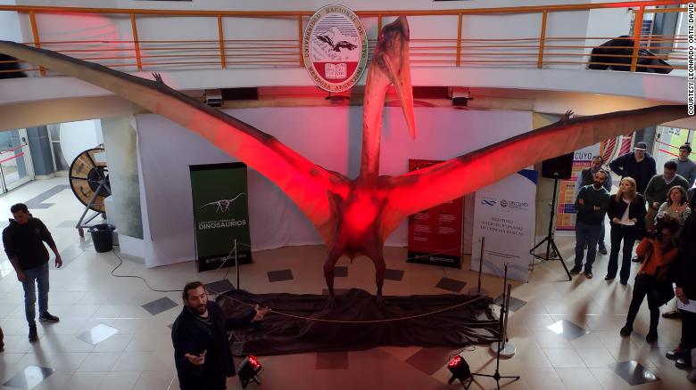 Un modelo de tamaño natural del pterosaurio se expone en el Laboratorio y Museo de Dinosaurios de Mendoza, Argentina.