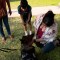 Perros de terapia ayudan a los afectados en Uvalde