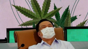 El ministro de Salud de Tailandia confirmó que distribuirán un millón de plantas de cannabis