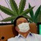 El ministro de Salud de Tailandia confirmó que distribuirán un millón de plantas de cannabis